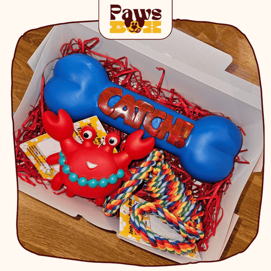 Dog Toy Mini Gift Box