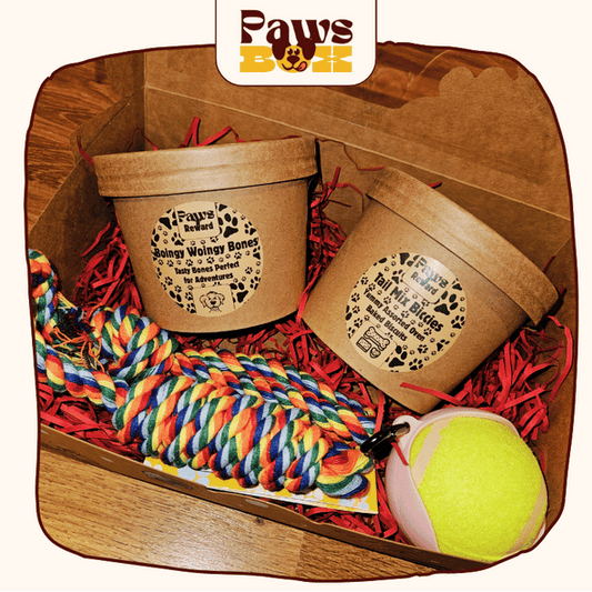 Combo Dog Treat and Toy Gift Box