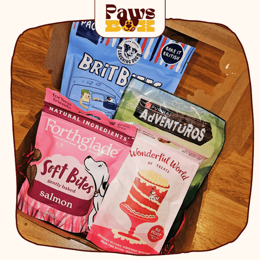 Dog Treat Pack Selection Box