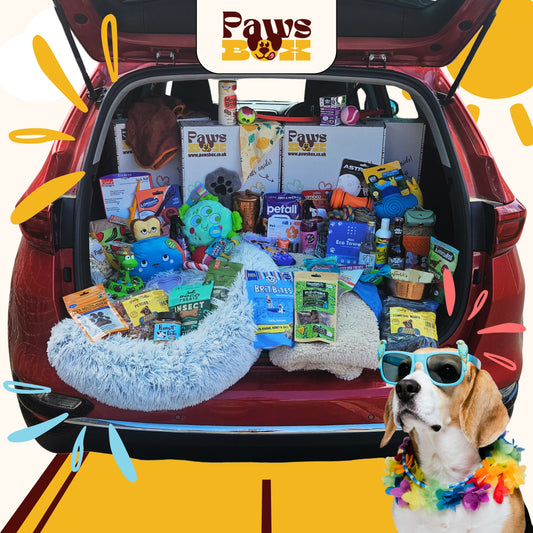 A Boot-i-ful Doggy Mega Hamper