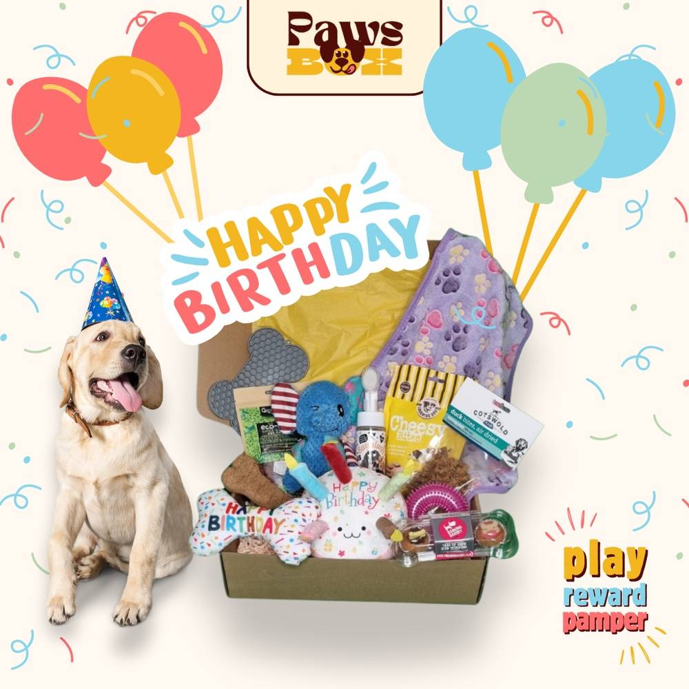 Dog Birthday Gift Box
