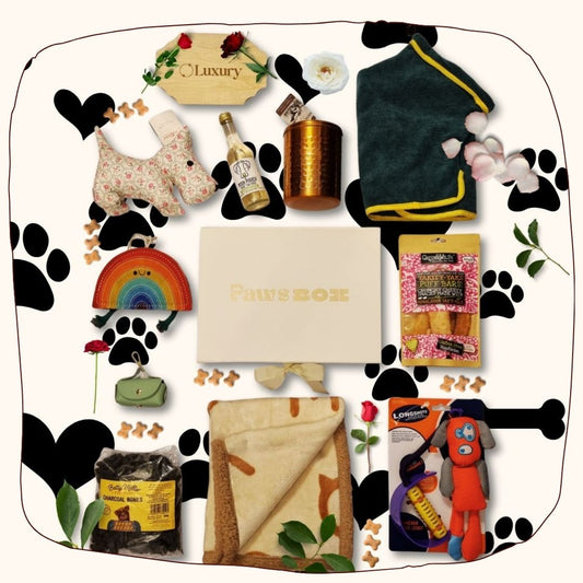 Luxury Paws Box Dog Gift Box