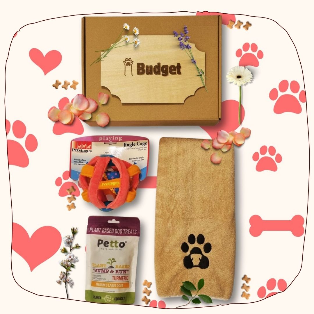 Budget Paws Box