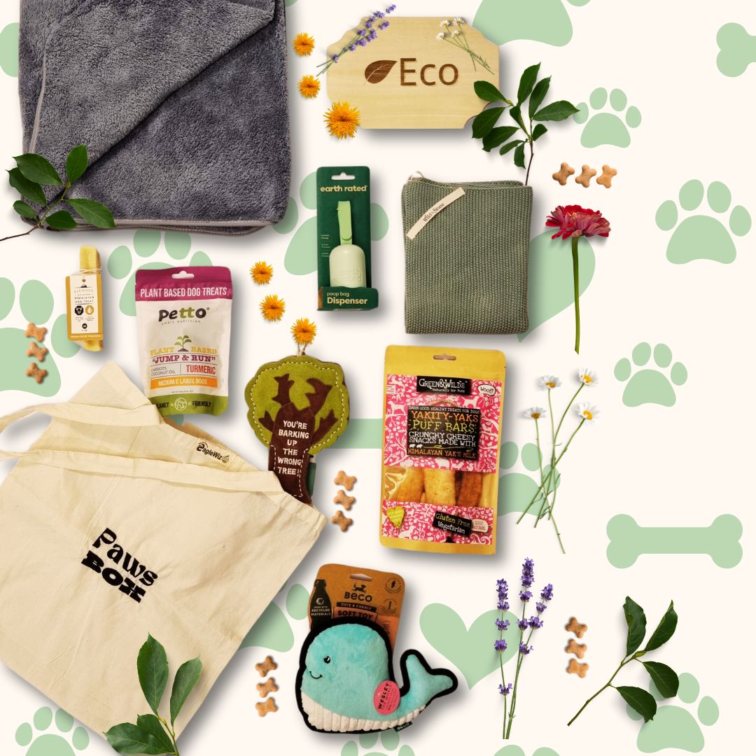 Eco Paws Box Dog Gift Bag