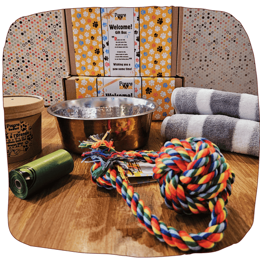 Dog Welcome Kit